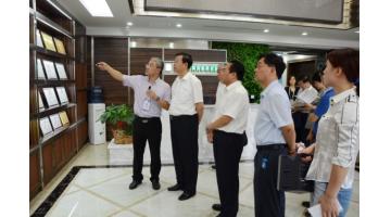 广西政协沉点提案督办调研组一行莅临28圈游戏调研