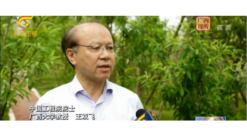28圈游戏紧跟伟大回复领航人踔严笃行 共创“俏丽环境 俏丽经济 俏丽生涯”