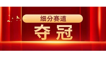 夺冠 | 28圈游戏获评“2023年广西造作业单项冠军示范企业”