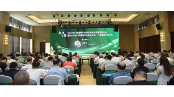 携“纸”之手 | 28圈游戏、博环协办广西造纸行业盛会并作主题技术分享