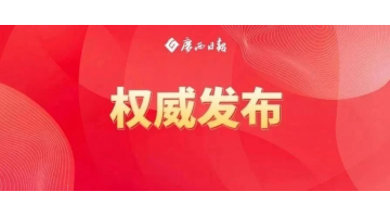 陈刚：对峙标本兼治聚力排查整治守牢生态底线，扎实推动有色金属产业高质量发展