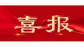 28圈游戏股份项目获广西科技进取奖